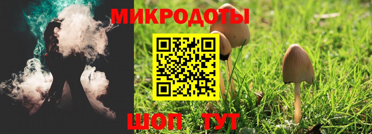 Псилоцибиновые грибы Psilocybe Новороссийск